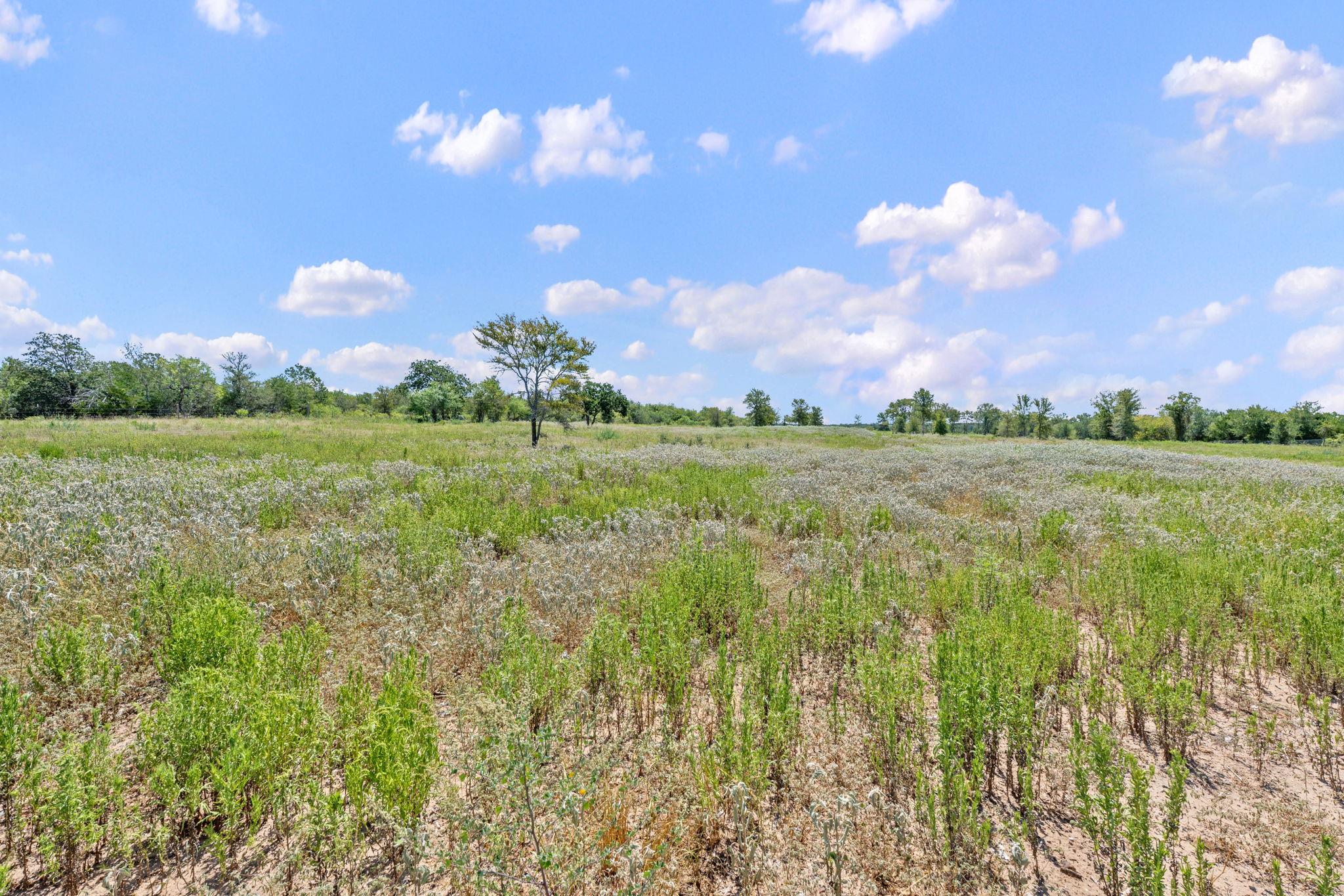 1385 Pettytown Road Dale TX 78616