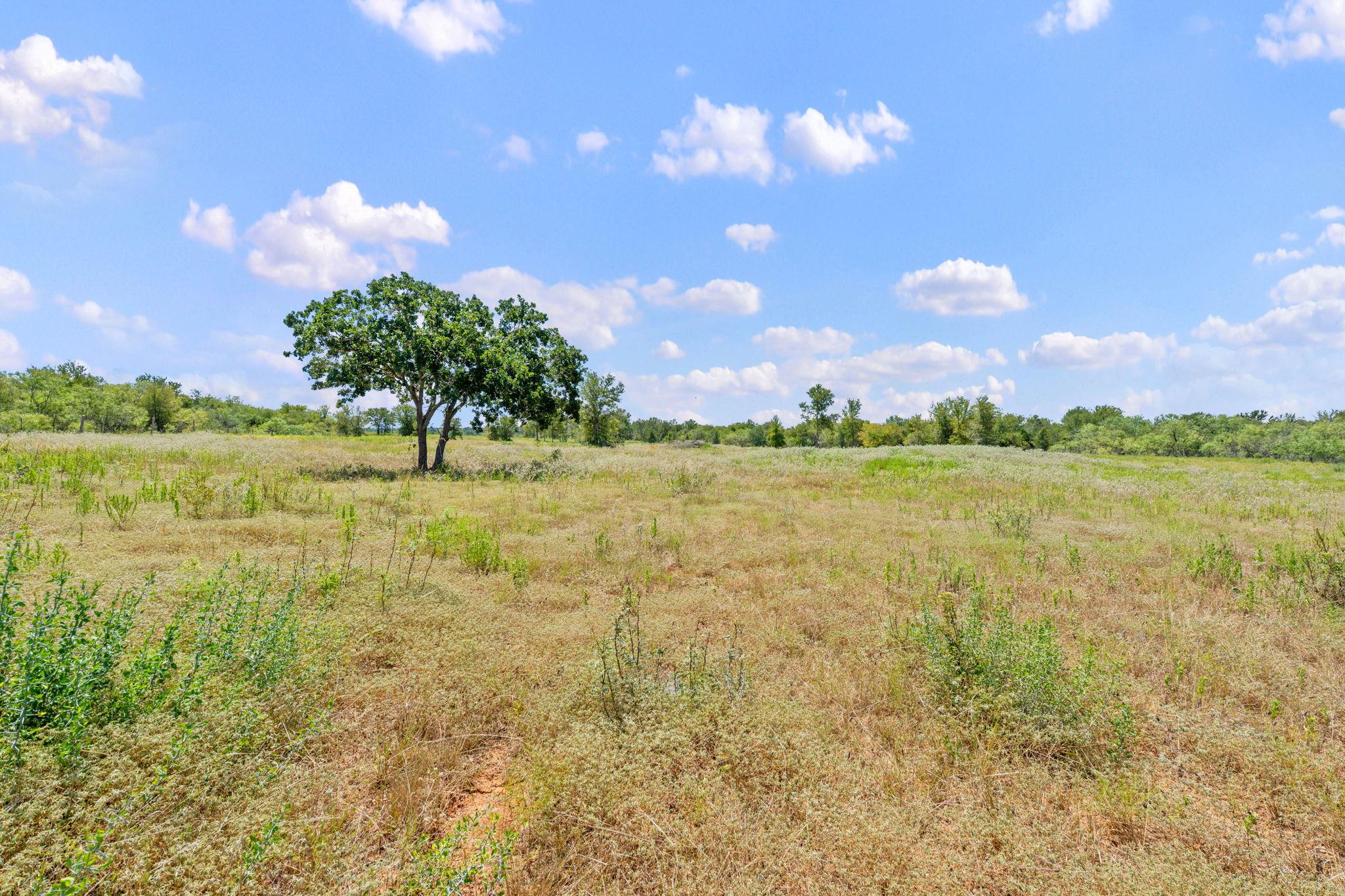 1385 Pettytown Road Dale TX 78616