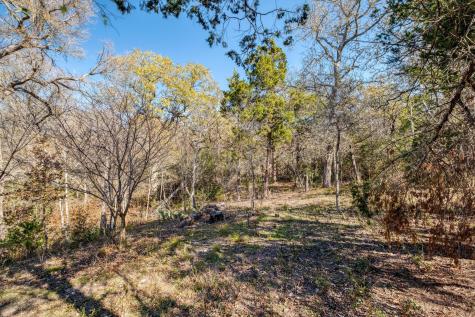 21400 Webberwood Ridge Elgin TX 78621