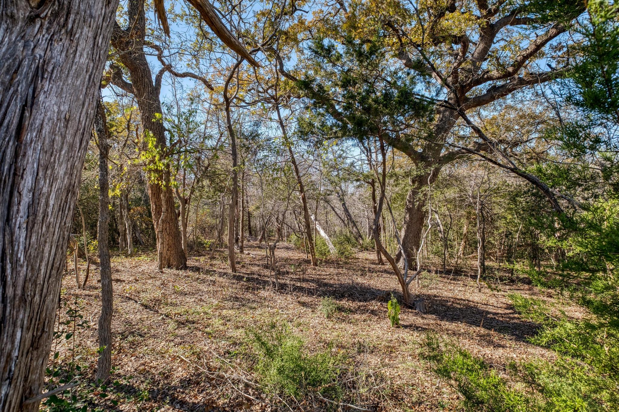 21400 Webberwood Ridge Elgin TX 78621