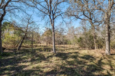 21400 Webberwood Ridge Elgin TX 78621