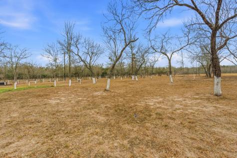 1278 Fm 812 Road Cedar Creek TX 78612