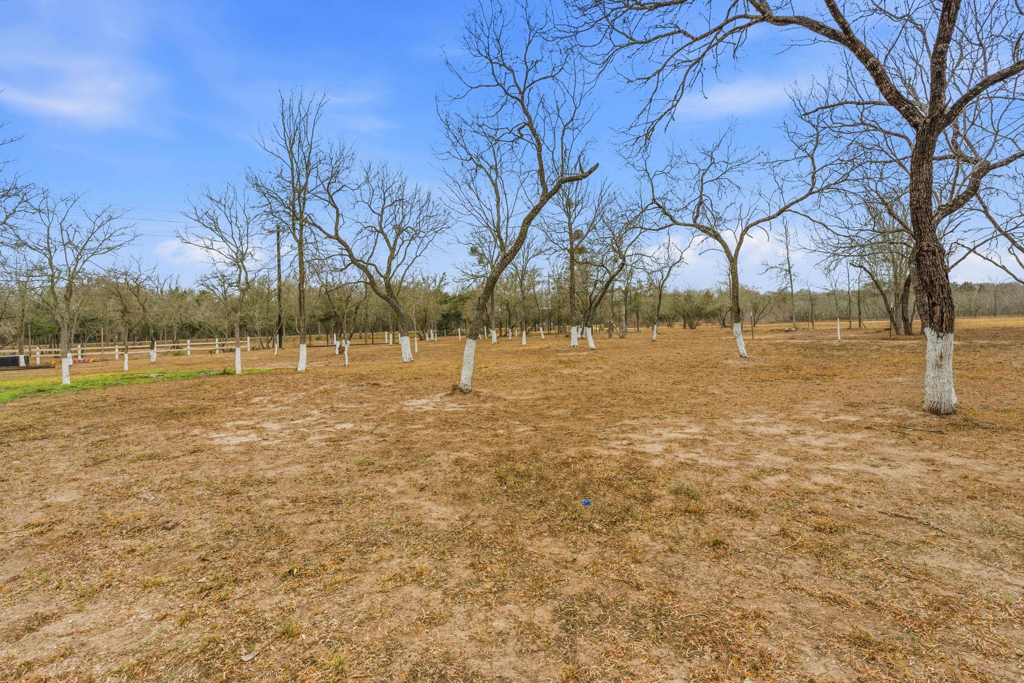 1278 Fm 812 Road Cedar Creek TX 78612