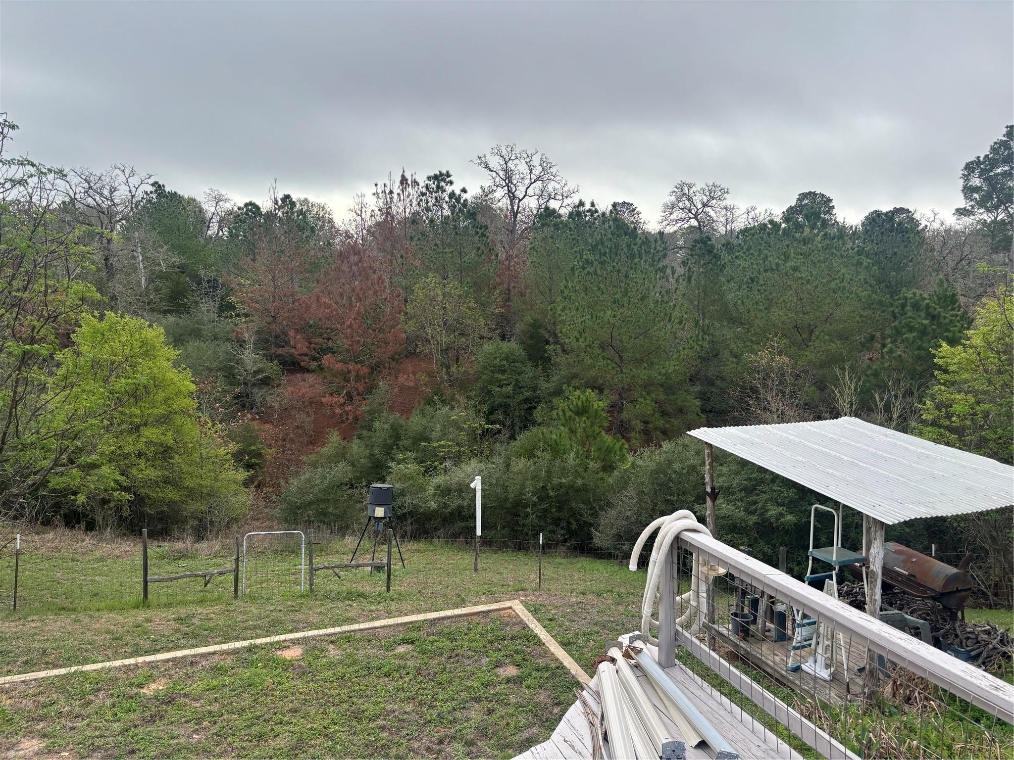 151 Cottletown Road Smithville TX 78957