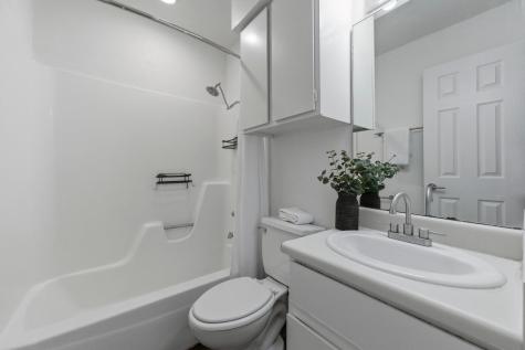 2603 Brickford Cove Austin TX 78745
