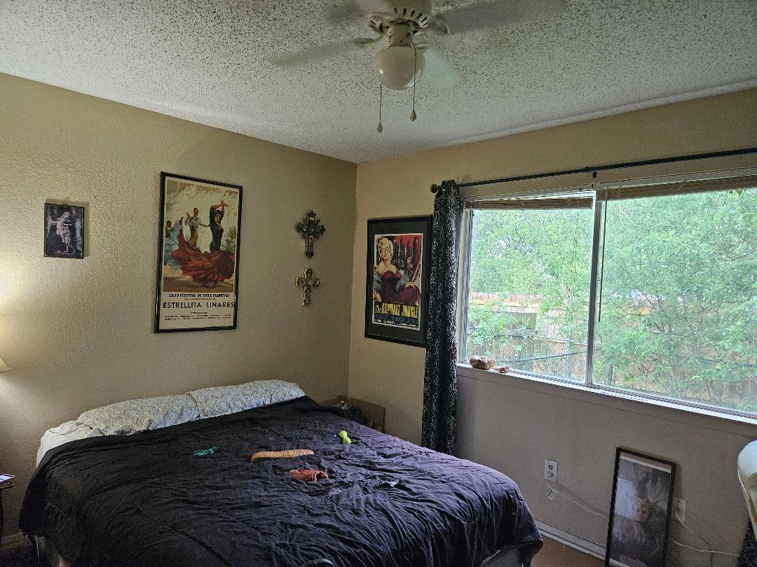817 Lexington Road Elgin TX 78621