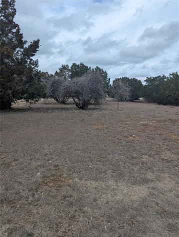 111 Rose Drive Dripping Springs TX 78620