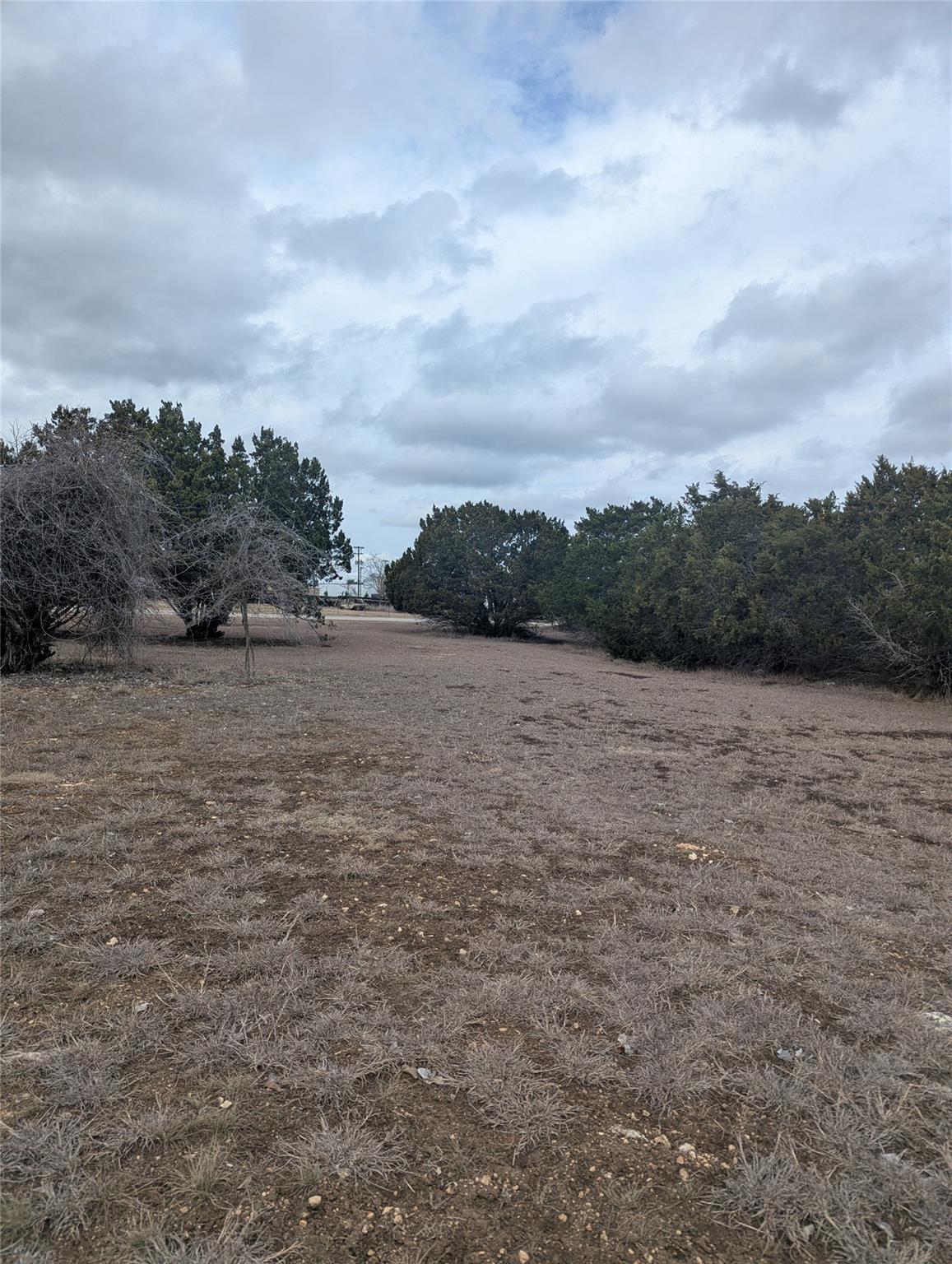 111 Rose Drive Dripping Springs TX 78620