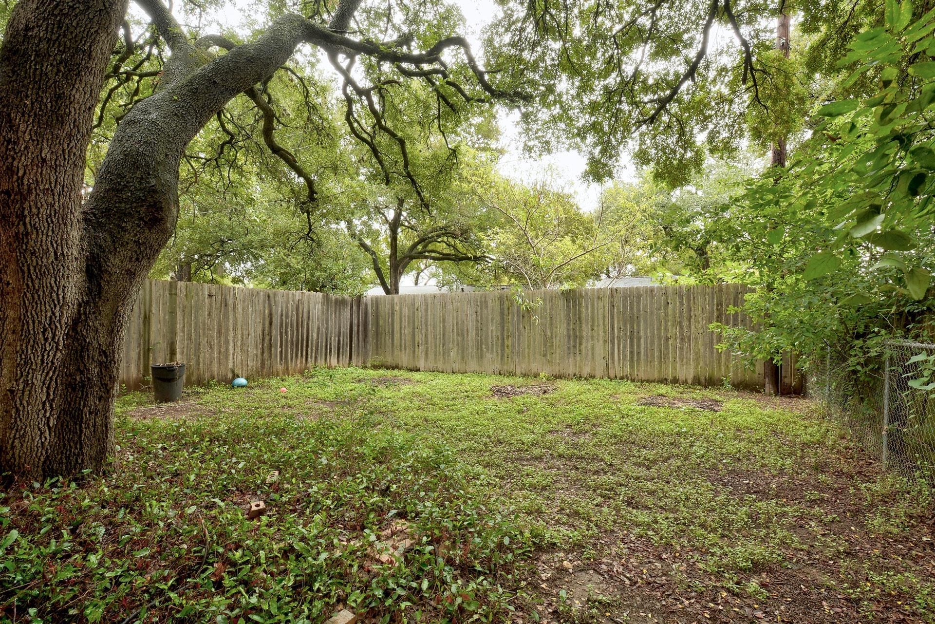 7105 Cannonleague Drive Austin TX 78745
