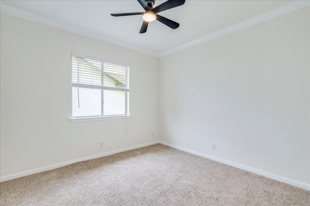 201 Elmer Cove Kyle TX 78640
