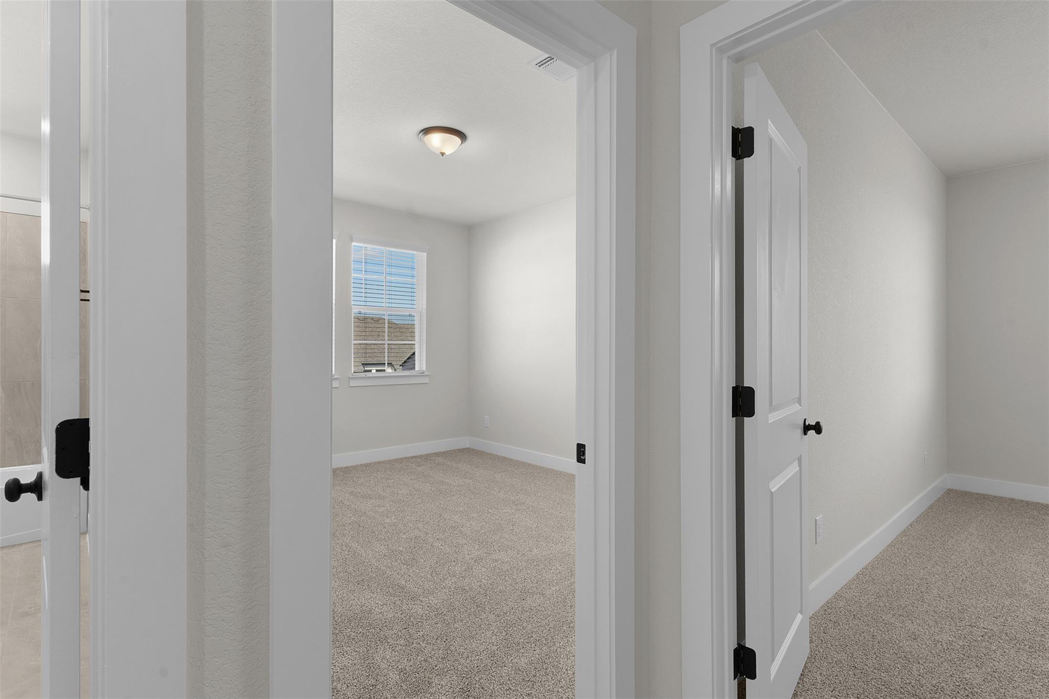 1704 Willow Bean Drive Georgetown TX 78633