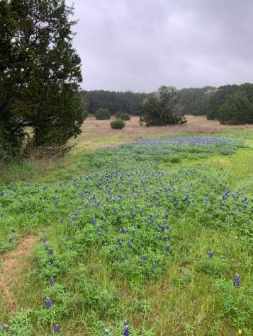 8400 Blazyk Drive Austin TX 78737