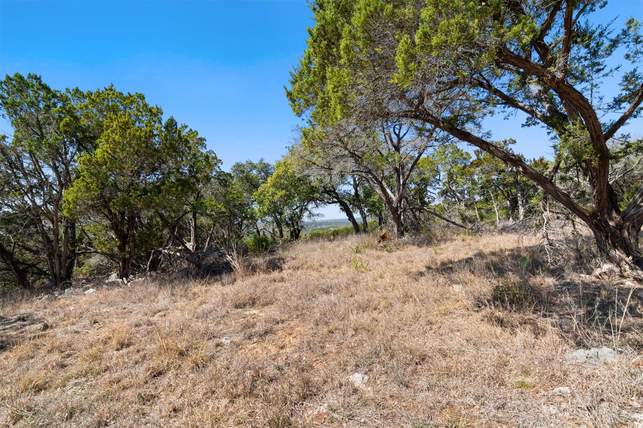 411 Circle Drive Wimberley TX 78676