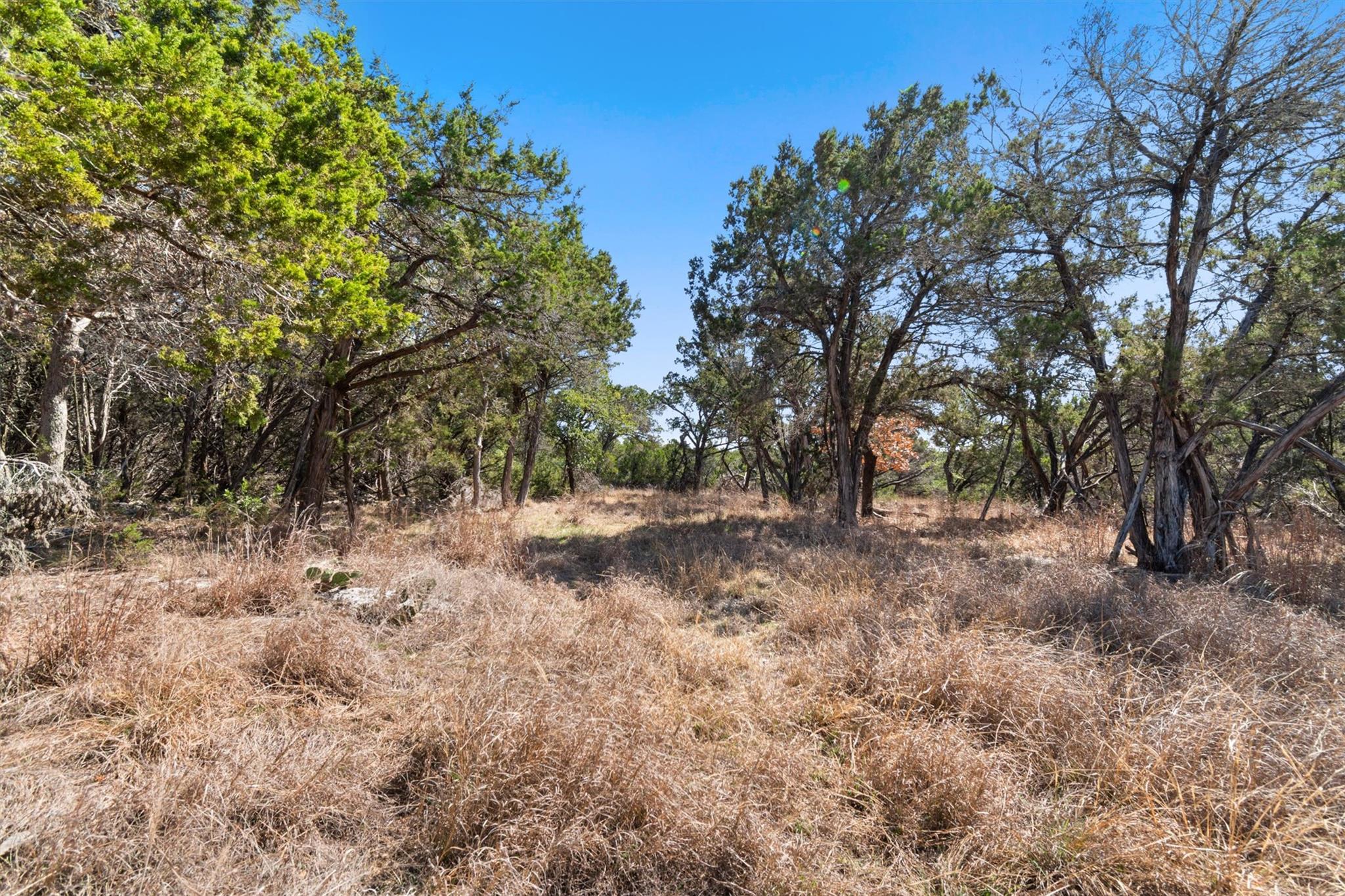 411 Circle Drive Wimberley TX 78676