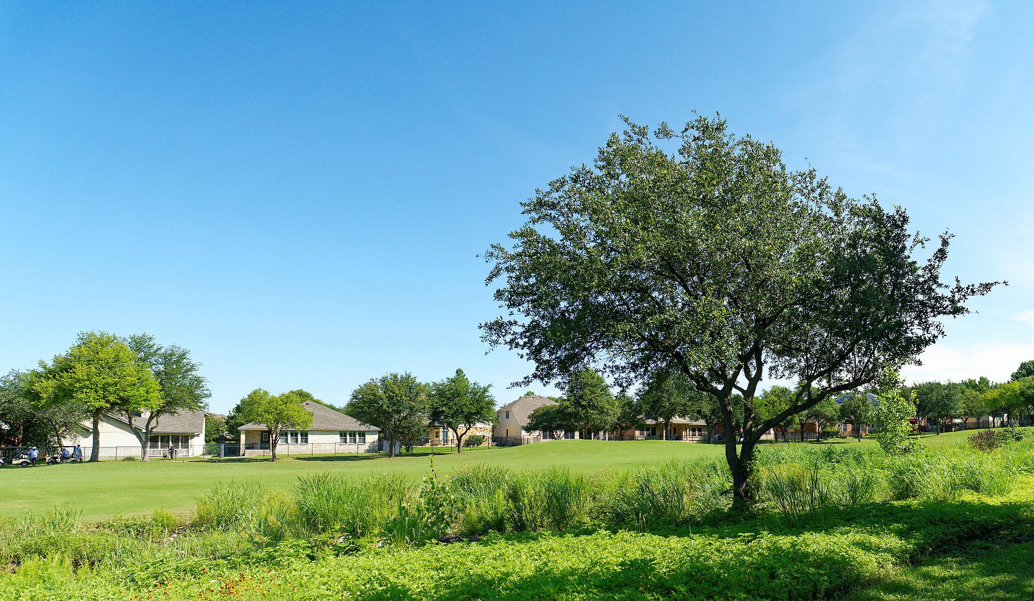 1116 Hillridge Drive Round Rock TX 78665