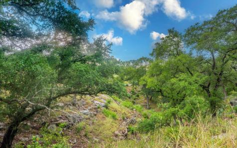123 Vicinity Trail Spicewood TX 78669