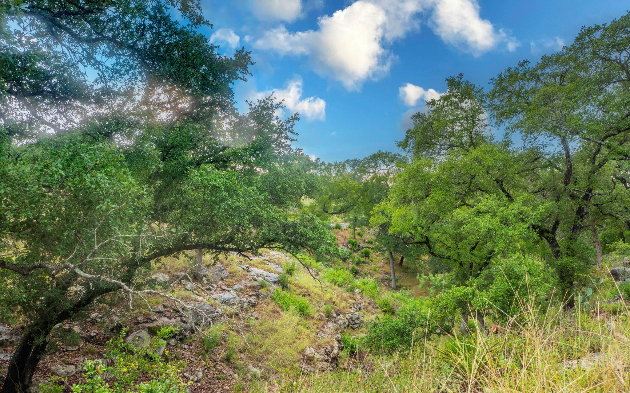 123 Vicinity Trail Spicewood TX 78669