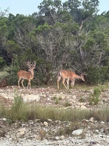 10710 Deer Canyon Road Jonestown TX 78645