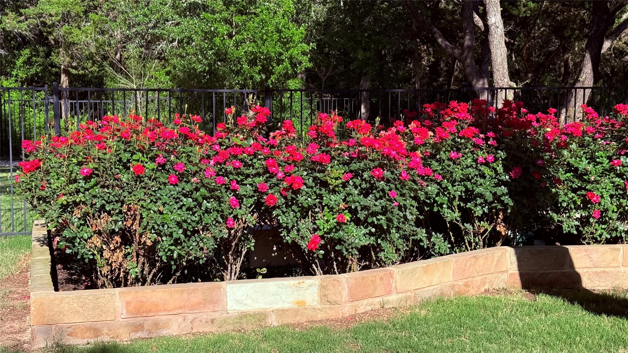 2640 Council Springs Pass Leander TX 78641