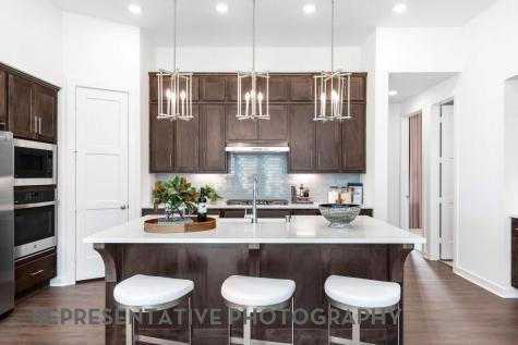 1308 Snowdrop Drive Georgetown TX 78628