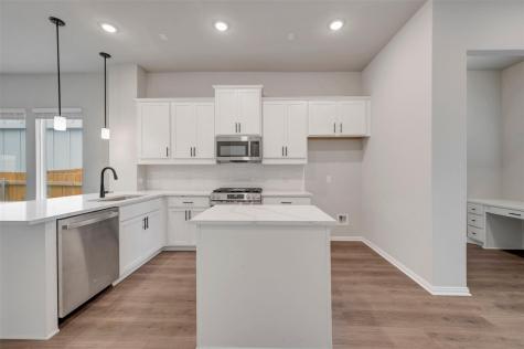 194 Grayson Elm Pass Dripping Springs TX 78620