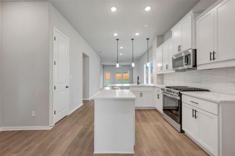 194 Grayson Elm Pass Dripping Springs TX 78620