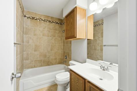 1316 Green Terrace Drive Round Rock TX 78664