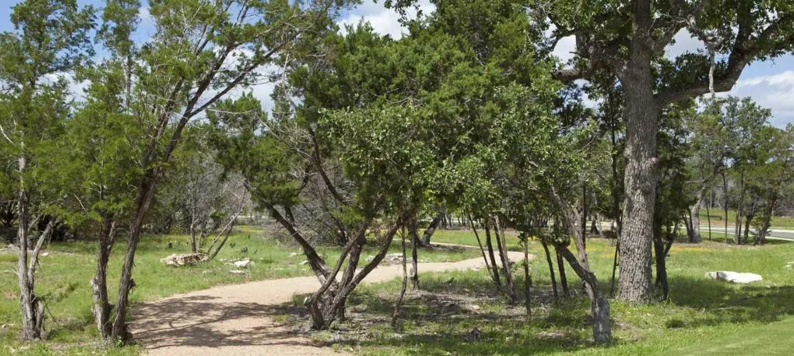 3901 Sansome Lane Round Rock TX 78681