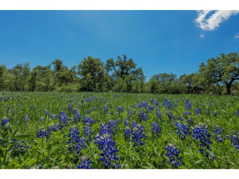 30201 Live Oak Trail Georgetown TX 78633