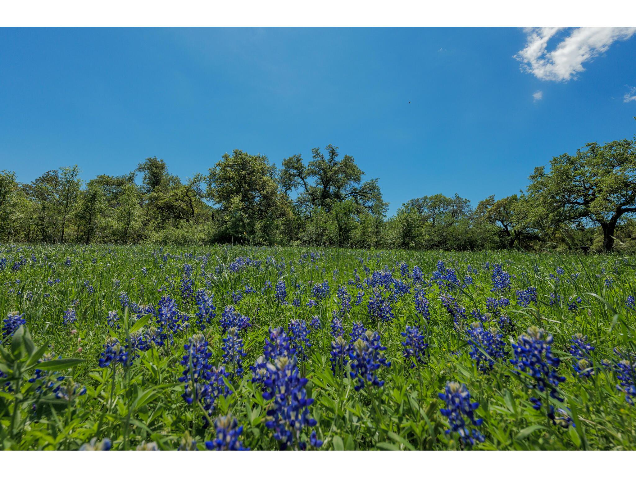 30201 Live Oak Trail Georgetown TX 78633