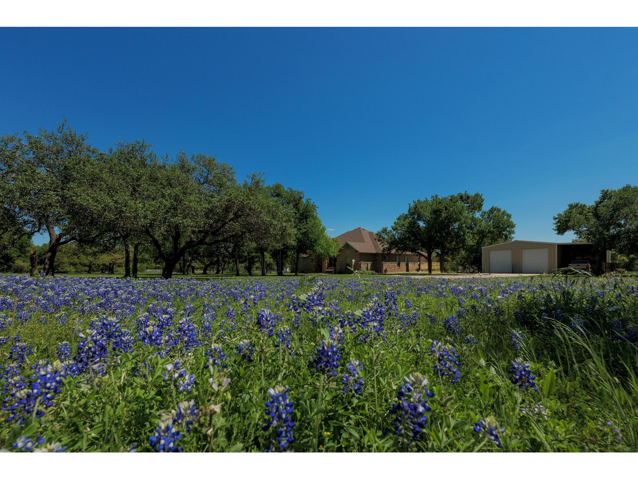30201 Live Oak Trail Georgetown TX 78633