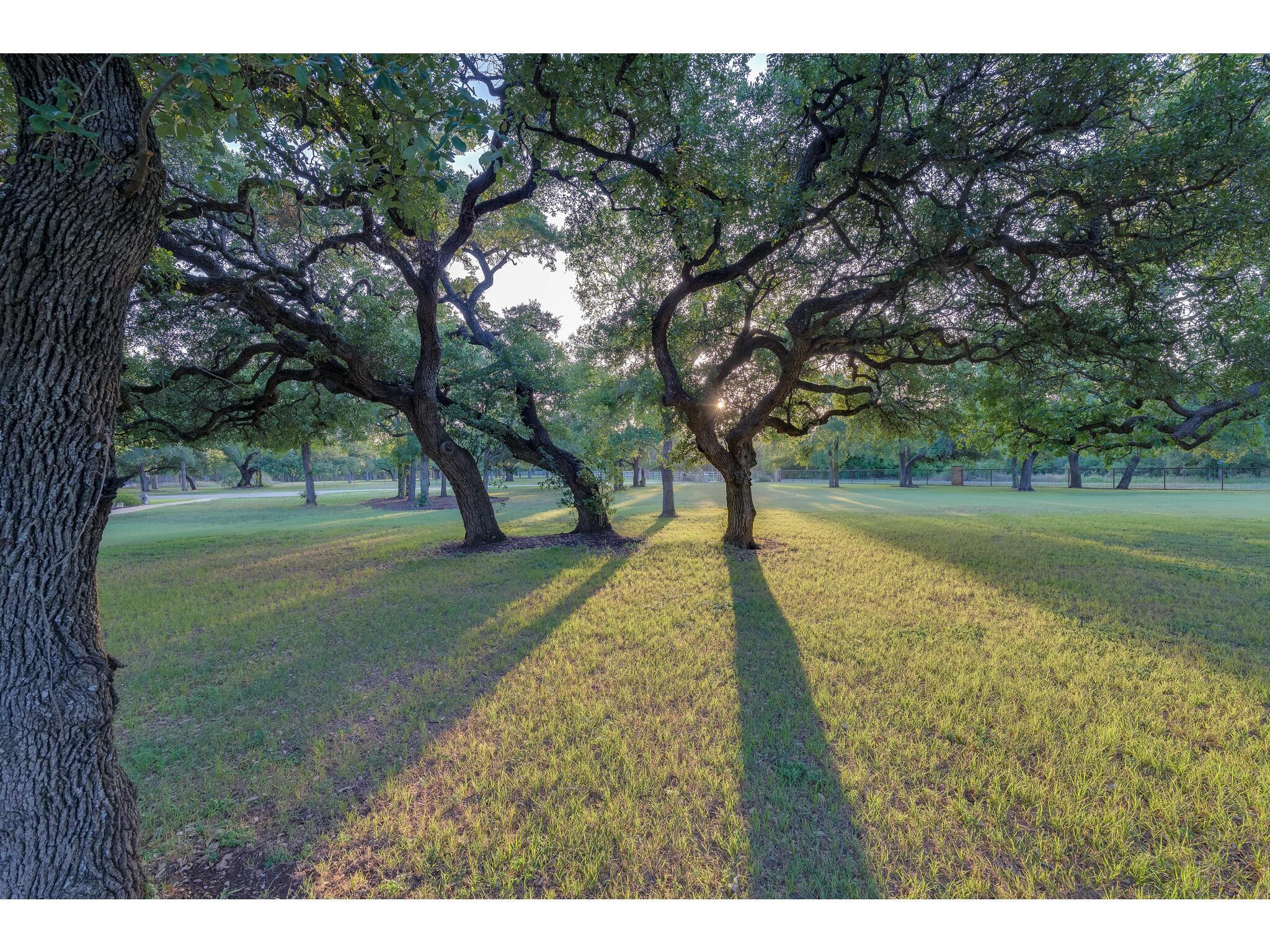30201 Live Oak Trail Georgetown TX 78633