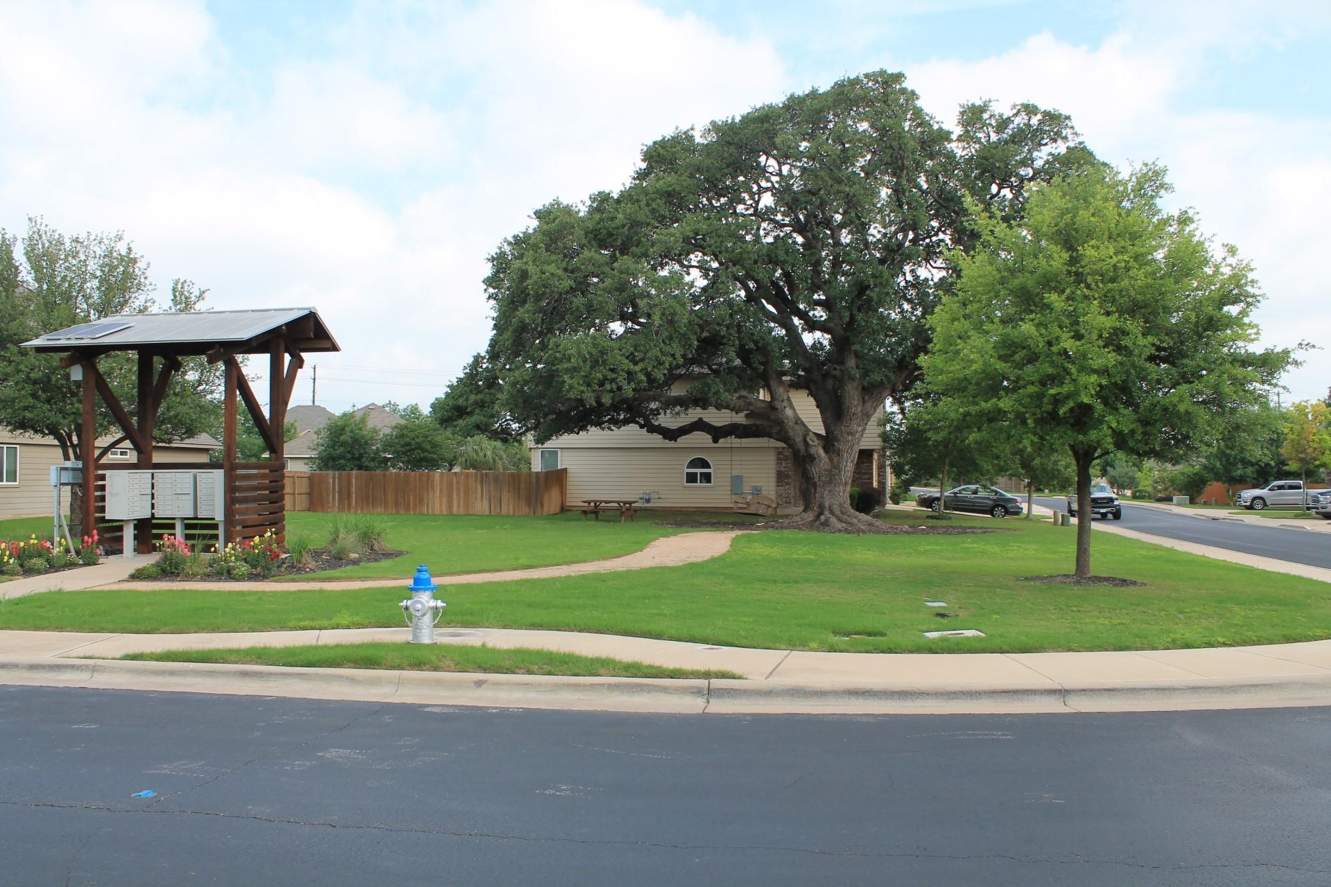 217 Deep Creek Drive Georgetown TX 78626