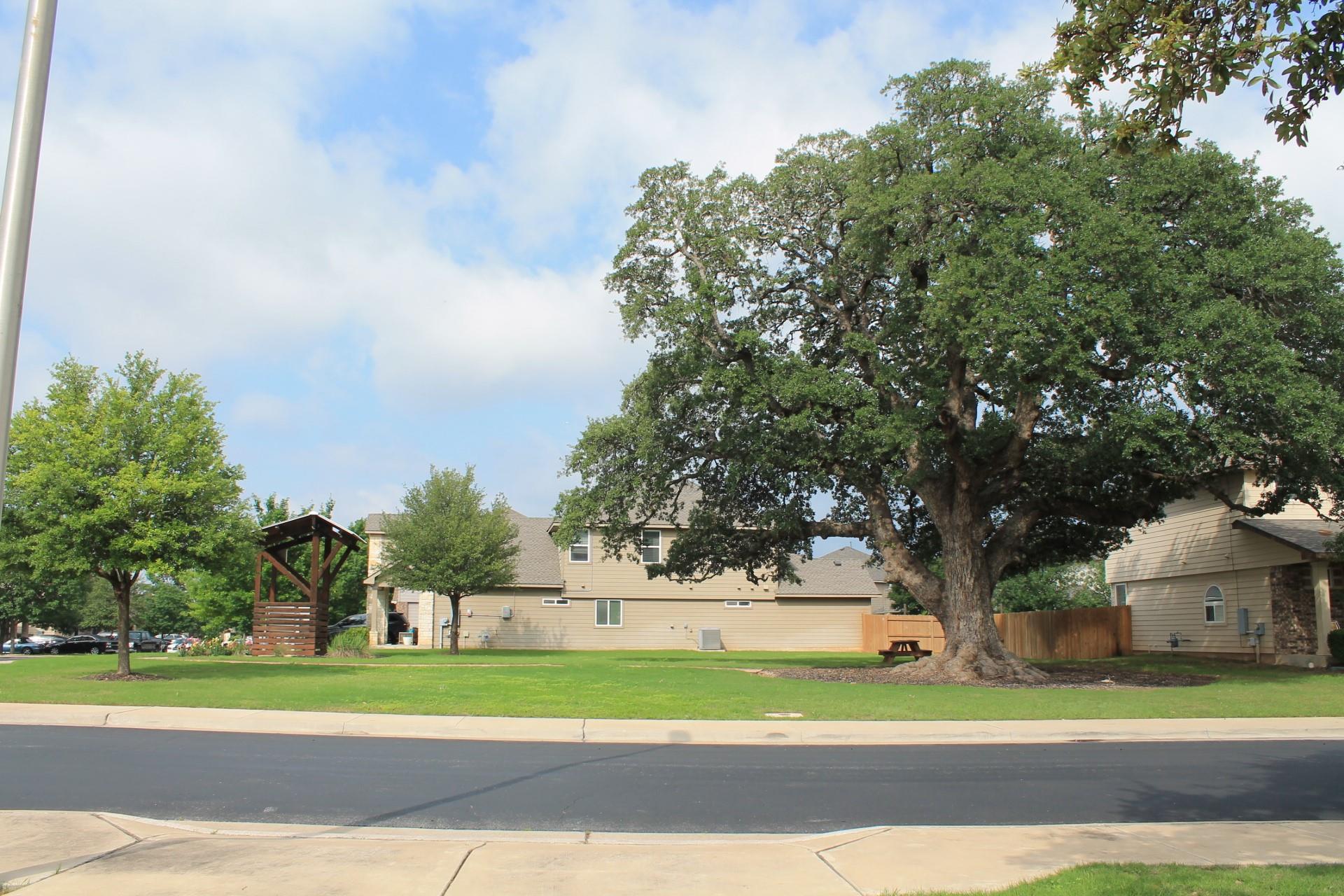 217 Deep Creek Drive Georgetown TX 78626