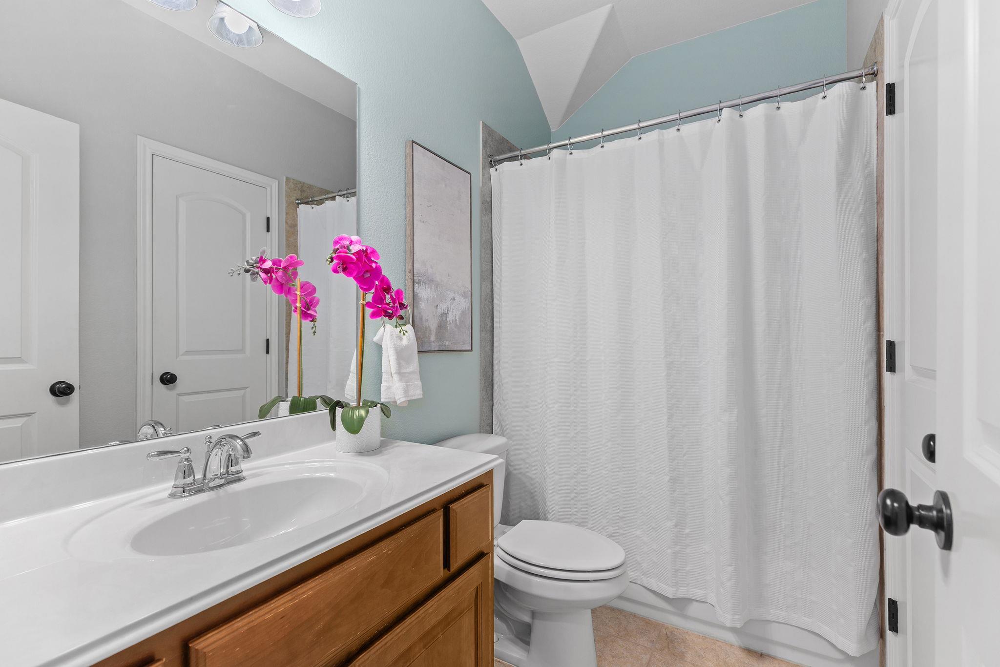 2816 Saint Frances Court Round Rock TX 78665