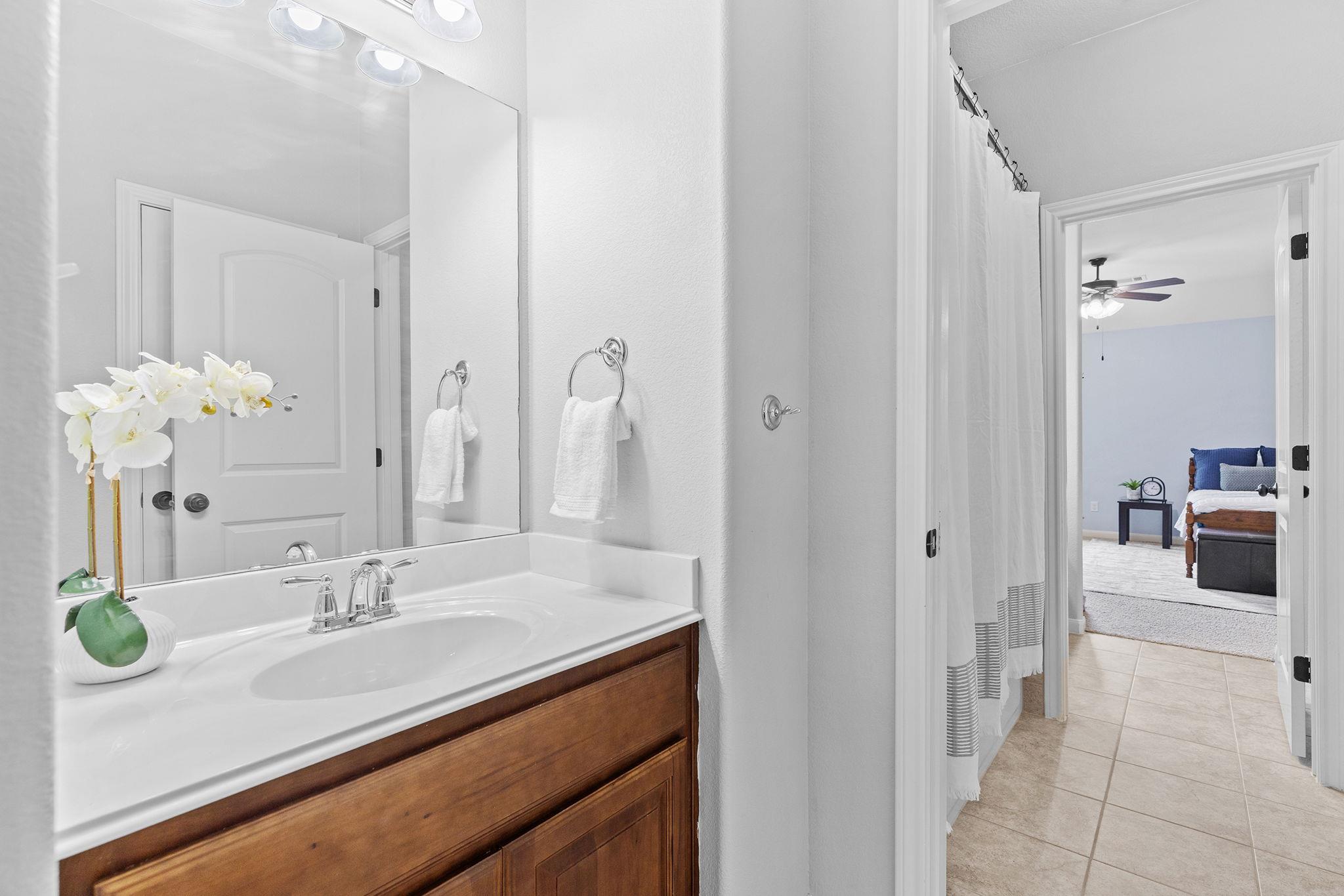 2816 Saint Frances Court Round Rock TX 78665