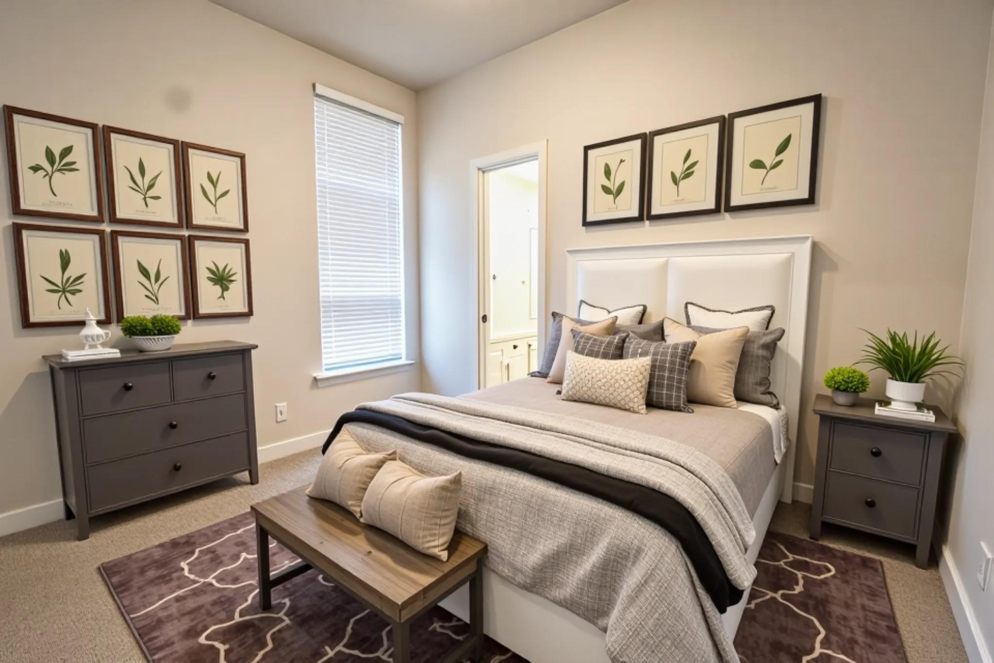 117 Missouri Primrose Lane San Marcos TX 78666