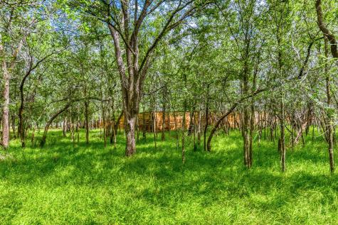115 Mokulua Lane Bastrop TX 78602