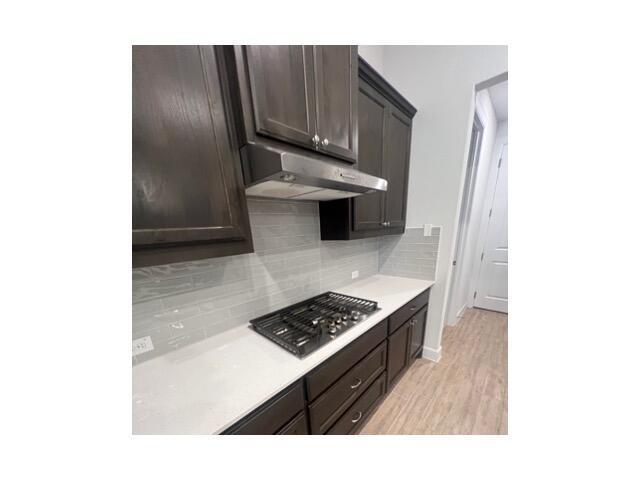 203 Trout River Road Kyle TX 78640