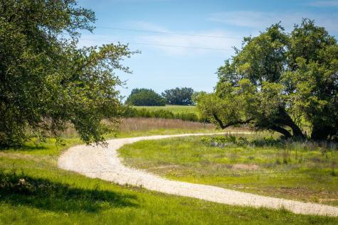 12935 Private Road 3641 Kempner TX 76539