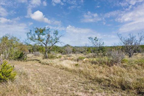 108 Schoolhouse Lane Spicewood TX 78669