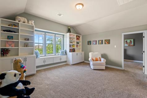 4523 Sansone Drive Round Rock TX 78665