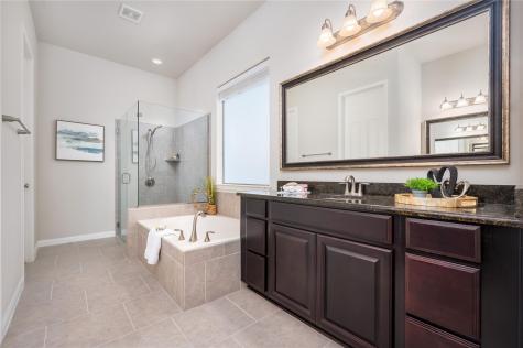 5317 Cardinal Flower Cove Spicewood TX 78669