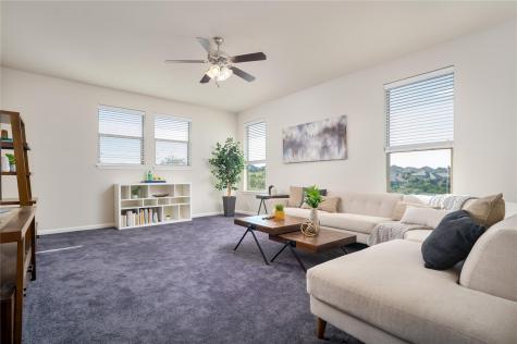 5317 Cardinal Flower Cove Spicewood TX 78669