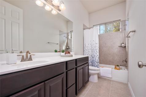 5317 Cardinal Flower Cove Spicewood TX 78669