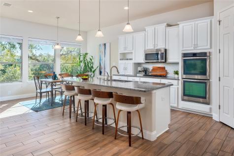 5317 Cardinal Flower Cove Spicewood TX 78669