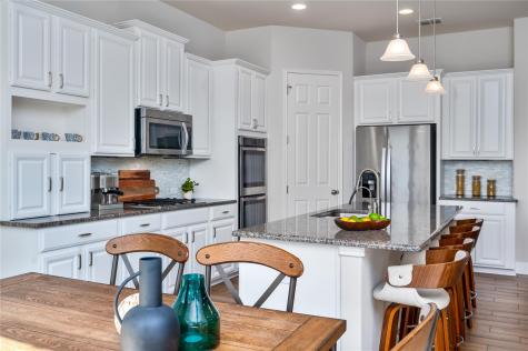 5317 Cardinal Flower Cove Spicewood TX 78669
