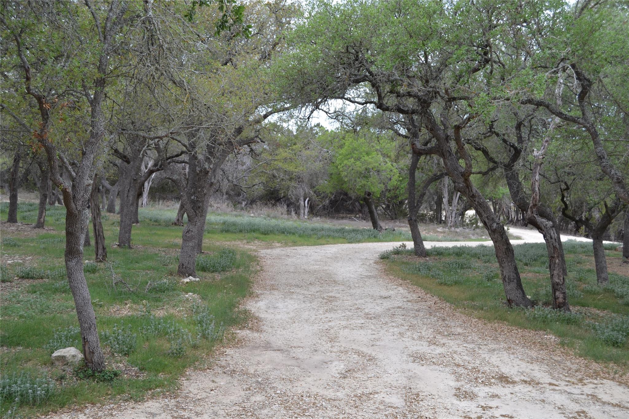 4016 Mcgregor Lane Dripping Springs TX 78620