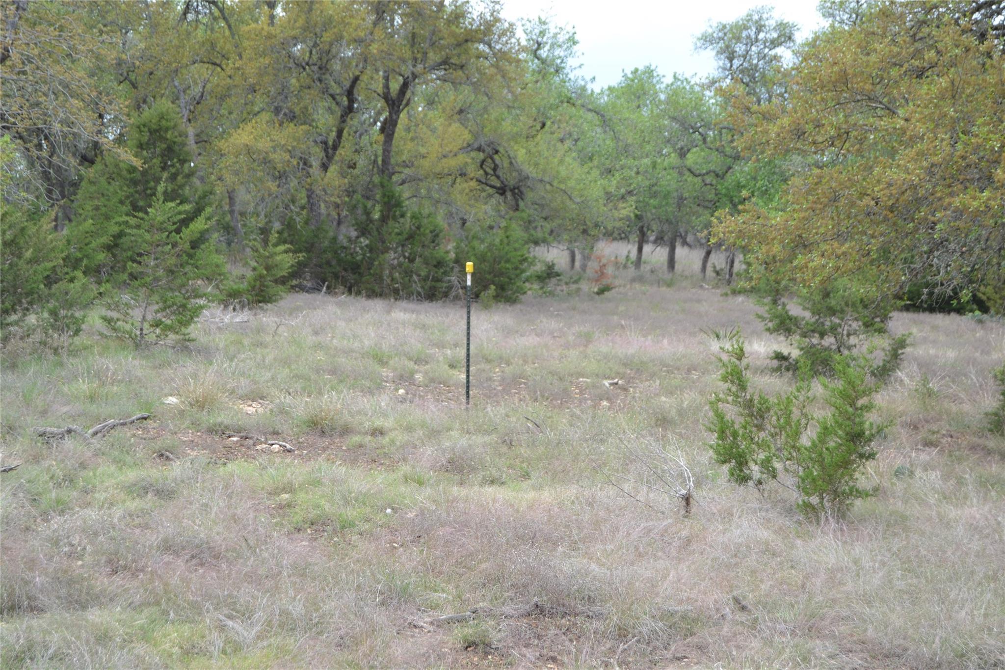 4016 Mcgregor Lane Dripping Springs TX 78620