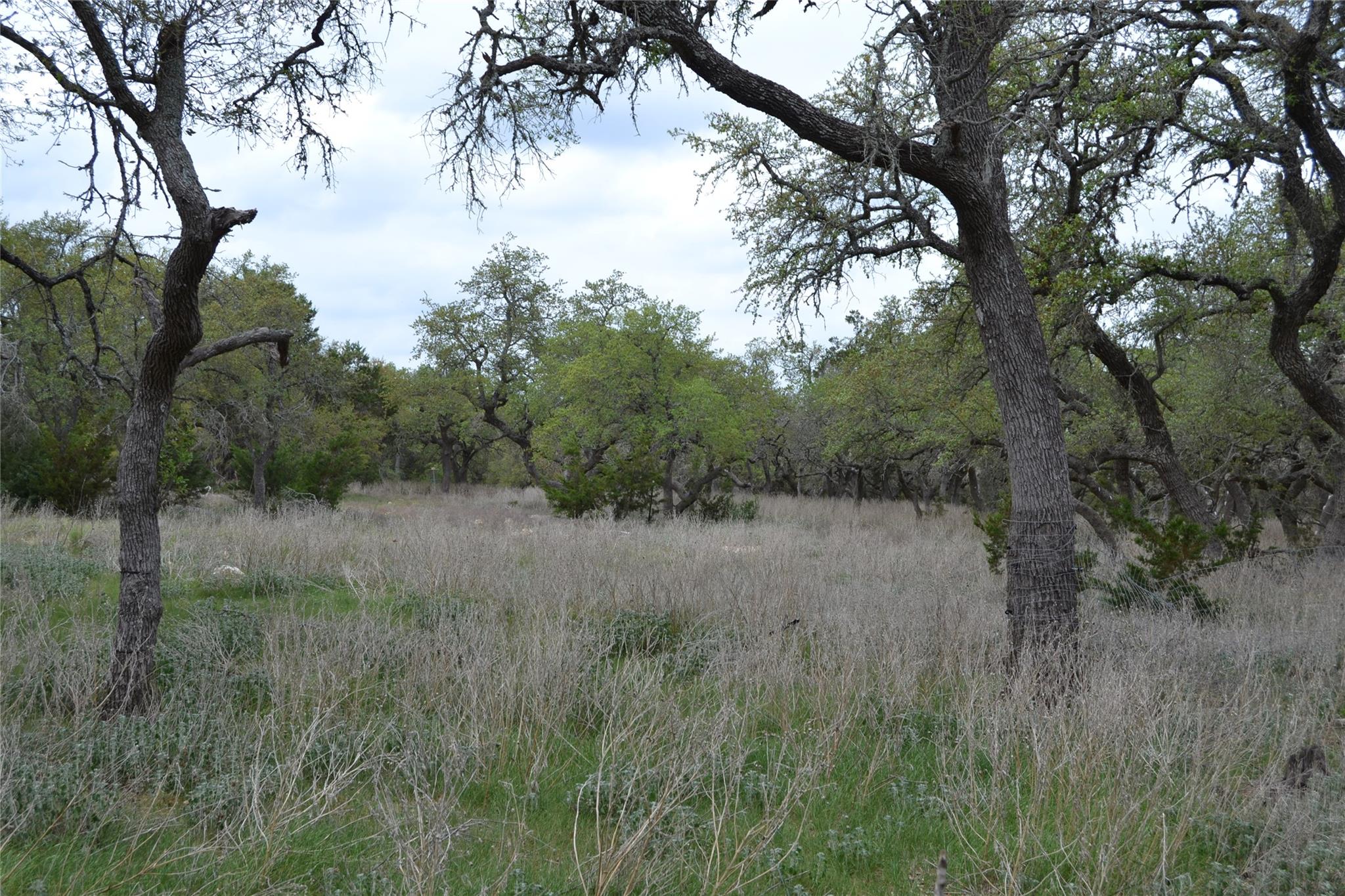 4016 Mcgregor Lane Dripping Springs TX 78620